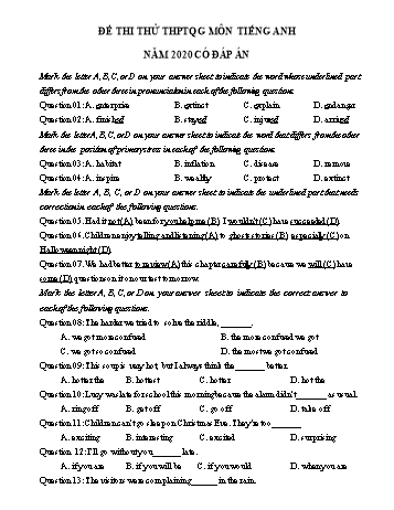 Đề ôn thi THPT Quốc gia môn Tiếng Anh năm 2020 - Đề số 24 (Có đáp án)